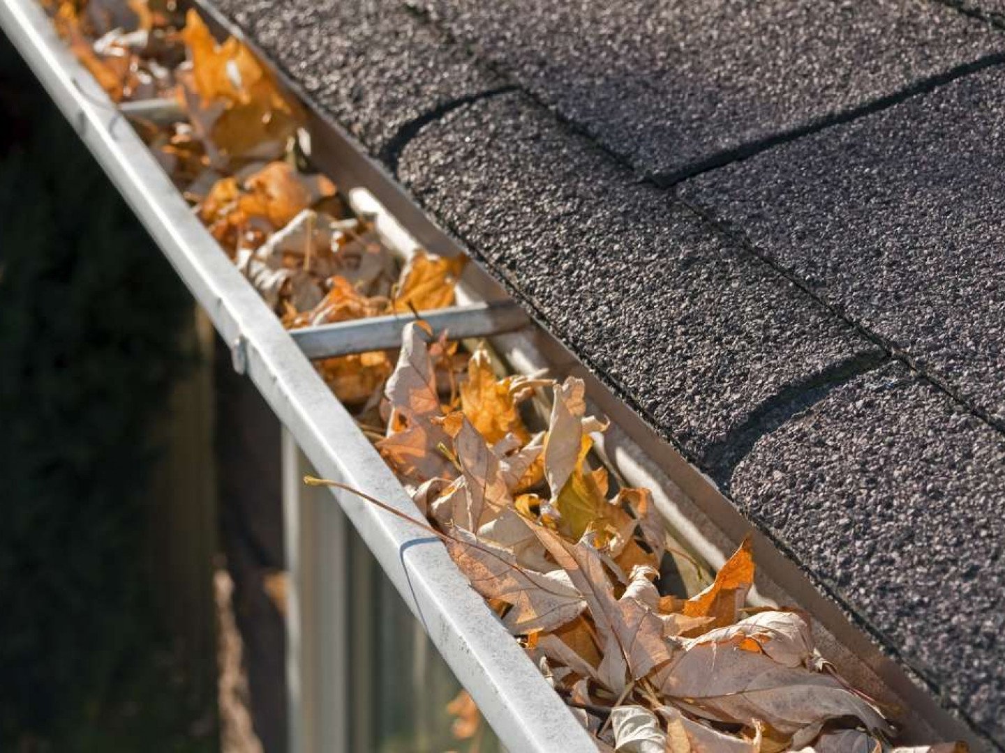 Do you need to replace your gutters?